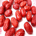 Chinesische Großhandel Sweet Jujube Seeds Full Container Dates Preis